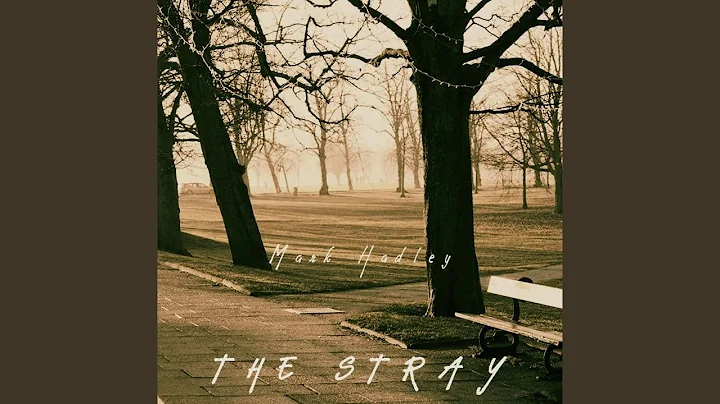 The Stray