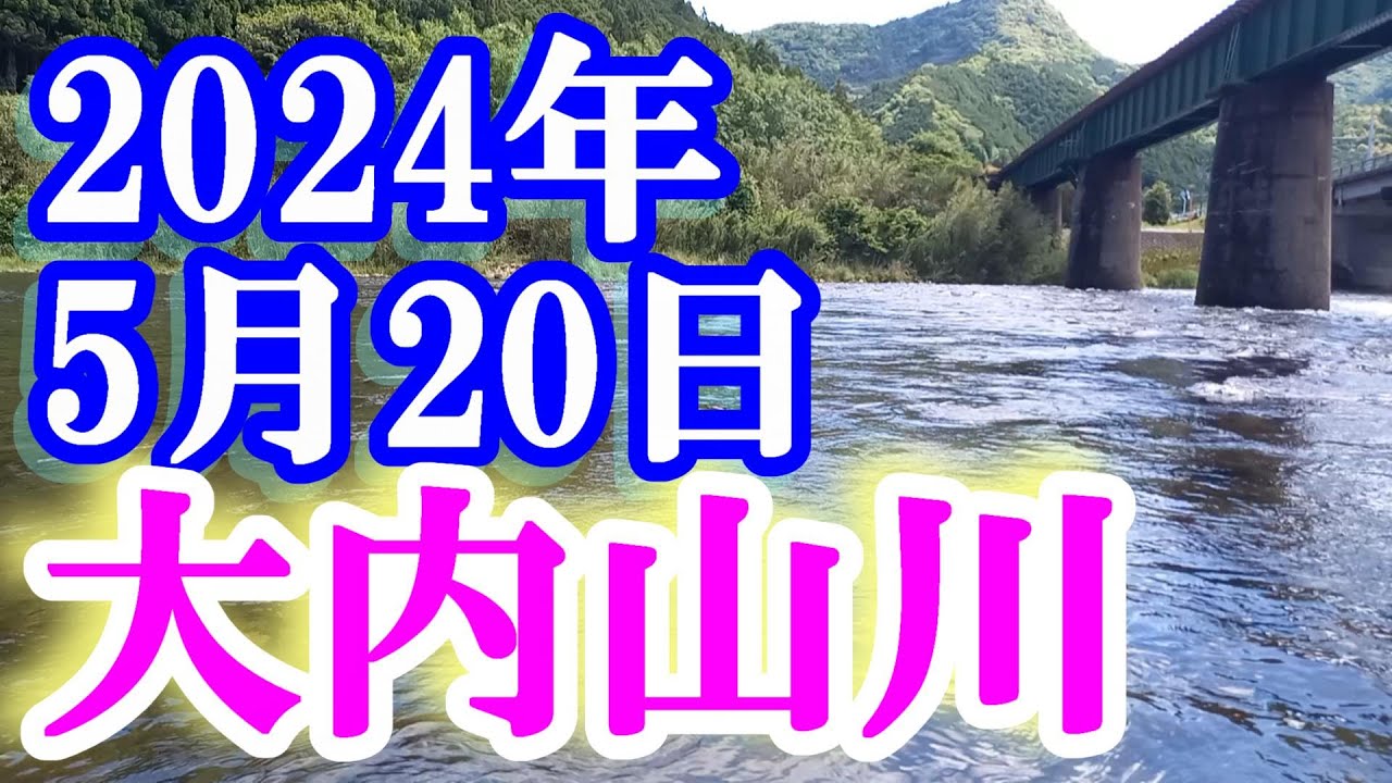 鮎釣り 昨晩雨で20cm増水垢ぐされ 岩船橋上 小広瀬橋下 大内山川 2024年