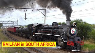 Whistle & Steam Show-off Cherry Festival Train + TRANSNET Coiled Steel Train | Train South Africa