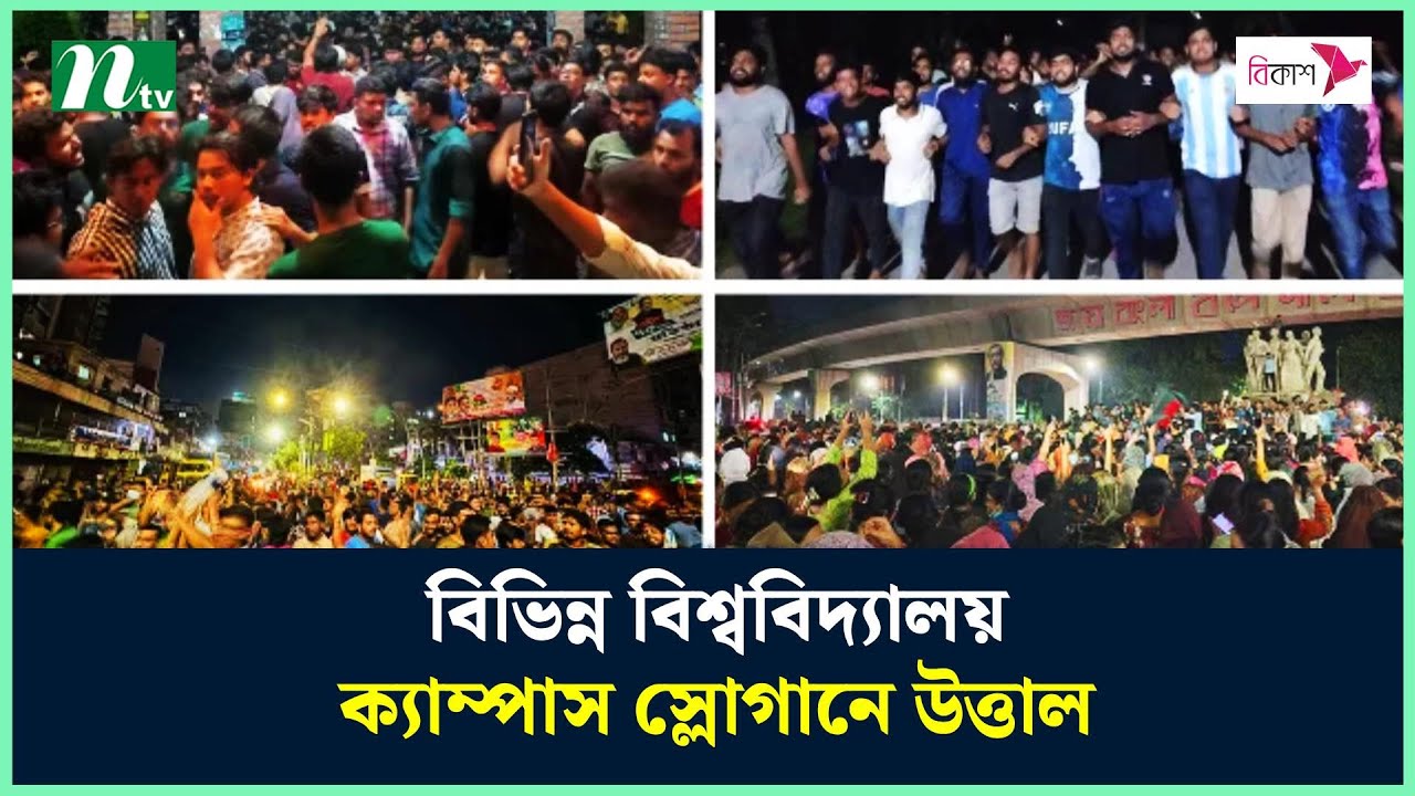 Tukli mushuklarning ruscha uy qurilishi videosi Yalangoch Donna Milbern