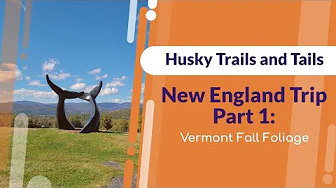Exploring Vermont's Stunning Fall Foliage: Day 1 Adventure with Huskies! ππΎ
