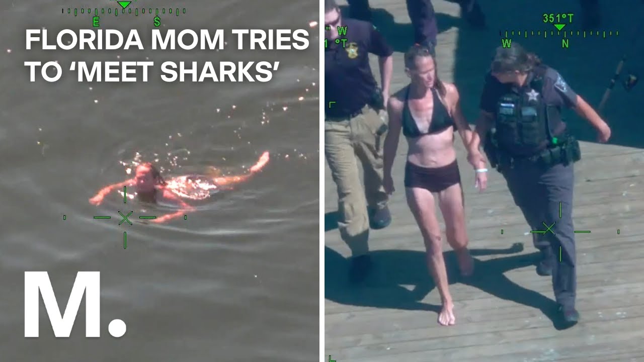 Florida Mom Leaves Toddler in Car to Swim and 'Meet Sharks' - YouTube