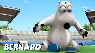 Bernard Bear | High jump AND MORE | Cartoons for Children | Full Episodes