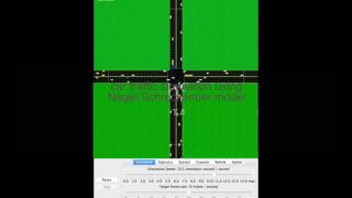 Full Nagel Schreckenberg simulation 1 Guide