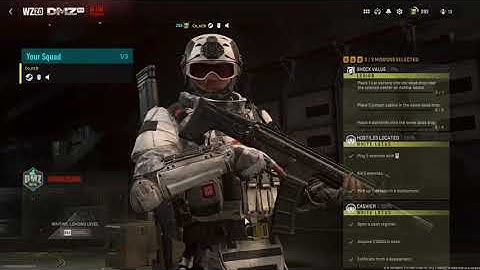 Crown Tier 3 DMZ No Traipsing To Trapper & Delicate Movement.