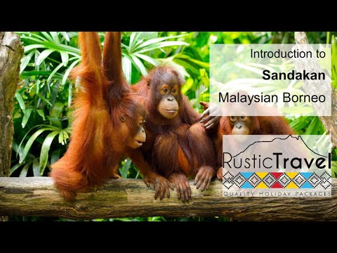 Introduction to Sandakan, Malaysian Borneo