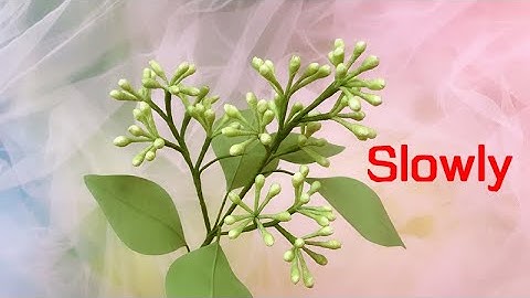 ABC TV | How To Make Eucalyptus Branch Paper (Slowly) - Craft Tutorial