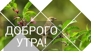 Доброго Утра!🌞