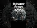 Your Brain Is Making This Decision Right Now #BrainHealth #MedicalAnimation #HealthScience