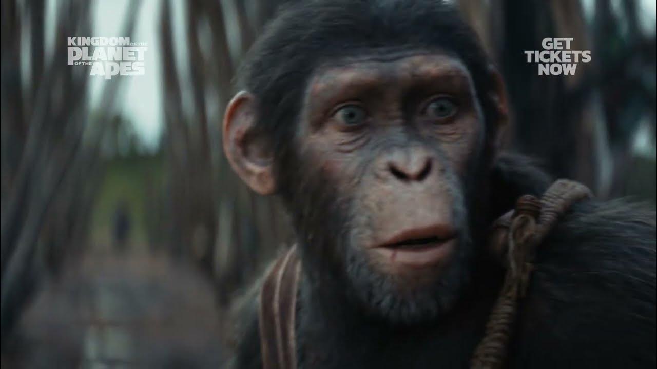 Kingdom of the Planet of the Apes I In Theaters May 10 - Kingdom of the Planet of the Apes I In Theaters May 10
