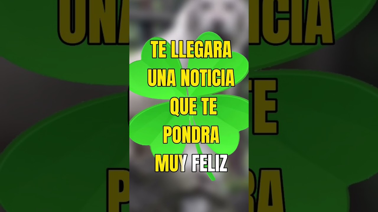 ANIMALES HERMOSOS QUE SE VAN A EXTINGUIR PRONTO 🥺 