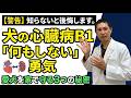 【犬の心臓病B1】薬を出さないのは手抜きではありません。知らないと後悔する「心腎連関」の真実