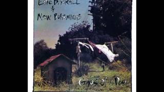 Video thumbnail of "Edie Brickell & New Bohemians - Times like this"