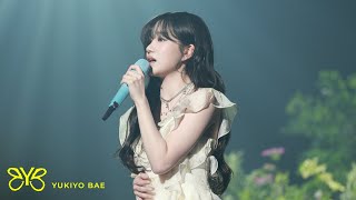 Celebrity Adele ft. JO YURI - When We Were Young (Yukiyo Bae Mashup) Profile