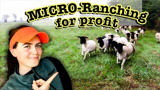 MICRO RANCHING FOR PROFIT // My Documentary for National Grazing Lands Conference (Dorper Sheep)