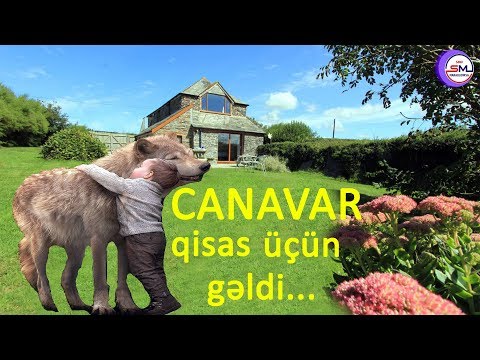 Video: Gözəllik Yoxsa Canavar? Ulduzların Makiyajsız Görünməsinə Səs Verin