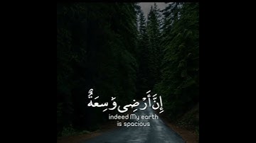 قرآن الكريم بصوت عبدالرحمن مسعد اجمل حالات واتس اب دينية سورة العنكبوت فيديو قصيره 🤍🌿