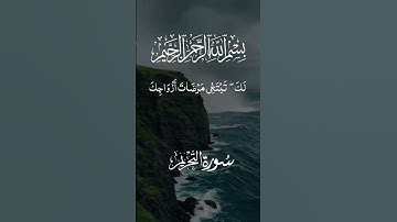 تلاوة خاشعة ومؤثرة بصوت جذاب ومؤثر #تلاوة_خاشعة #القرآن_الكريم #تلاوة_مؤثرة #اكسبلور