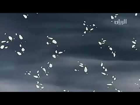 كرتون زمان بائعة الكبريت الجزء1