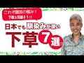 これぞ園芸の極み！下草を見直そう！！日本でも馴染みが深い下草7選！！