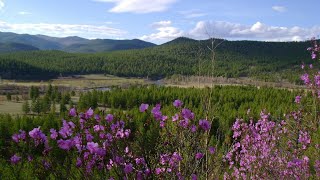 Забайкальский край| Клип к песне: НАРОД ЕДИНЫЙ-Забайкалье