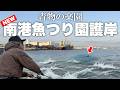 新しくなった南港魚つり園護岸を徹底解説、超最新の釣果情報です。