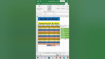 Formato de segmentacion de datos en excel