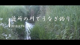 【6月】茨城県、近所の川でウナギ釣り