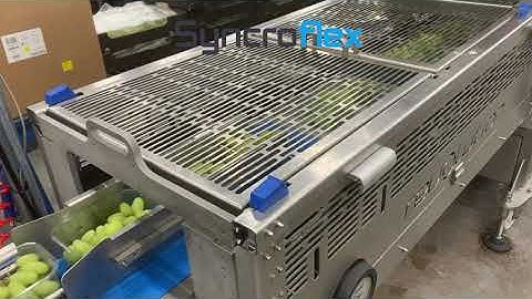 Packaging Automation SyncroFlex