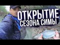 Открытие сезона симы / Cherry Salmon