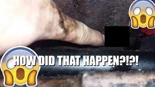 I Found The Oil Leak In The Granadas Oilpan! WTF?!?!