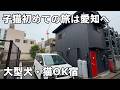 子猫達にとって初めての旅行は長期旅！犬と猫と愛知へ［５匹旅１］常滑・魚太郎・VillaMonica名古屋