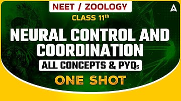 NEURAL CONTROL AND COORDINATION IN ONE SHOT | ALL CONCEPTS & PYQs | NEET 2024 | SANKALP BHARAT
