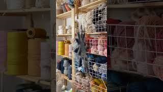 Introducing Marchs Monthly Weaving Project This Is A Really Exciting Class That Could Change The