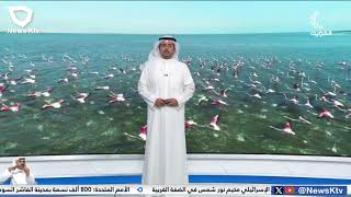 طقس معتدل والرياح جنوبية شرقية خفيفة إلى معتدلة السرعة