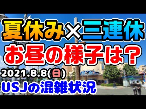 猫沢さんちのusj散歩