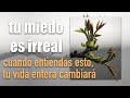 Mentalidad de crecimiento -  AFIRMACIONES POSITIVAS PARA SUPERAR EL MIEDO