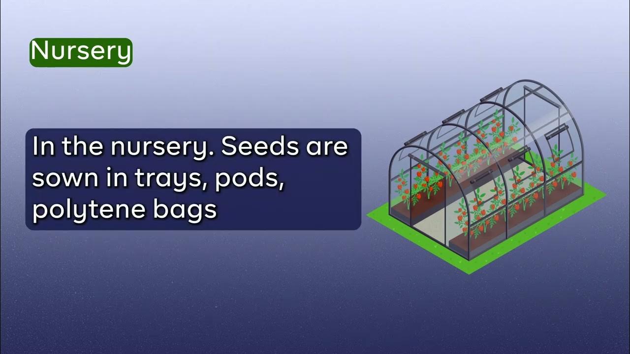 WHAT IS NURSERY YouTube