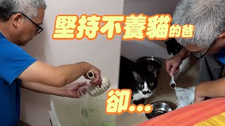 爸爸堅決反對女兒在家養貓！　帶回後...當親孫寵🥰｜奴才｜寵物動物｜精選影片