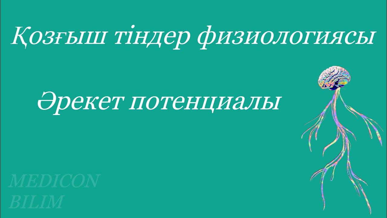 Әрекет потенциалы. Потенциал действия. Физиология | курсқа тіркелу👇 ...