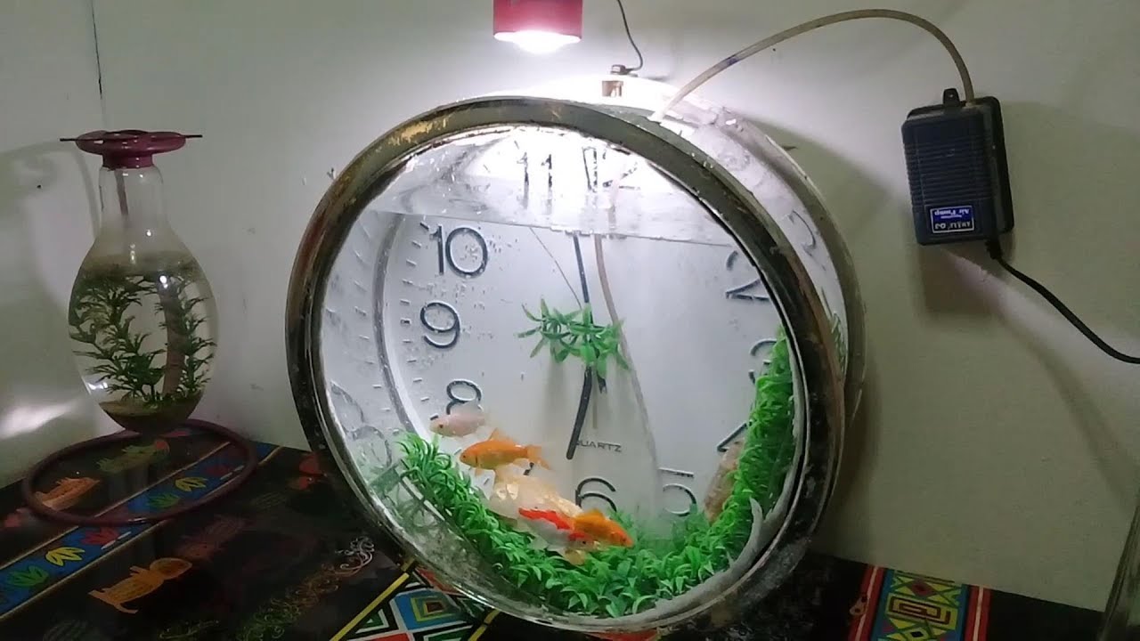  aquarium  unik  dari jam rusak how to make an aquarium  YouTube