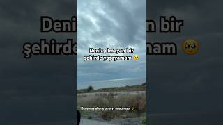 Sizler Deniz Sever Misiniz ? Ökyüzü