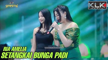 SETANGKAI BUNGA PADI - RIA AMELIA - LIVE SIMPATIK MUSIC KLK AUDIO DELTA TEAM PASAR BANGGI REMBANG
