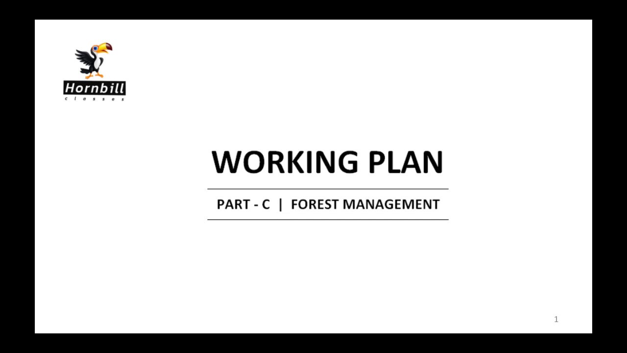 4. IFoS-2019  |  Working plan