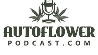 Episode 40: Growing Large Autoflower Cannabis w/ "YourHomeGrownBud"