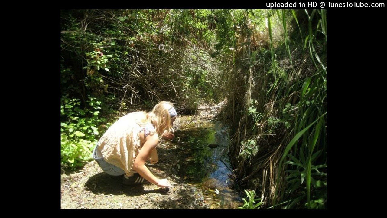 jaydes + wifiskeleton acoustic guitar type beat 