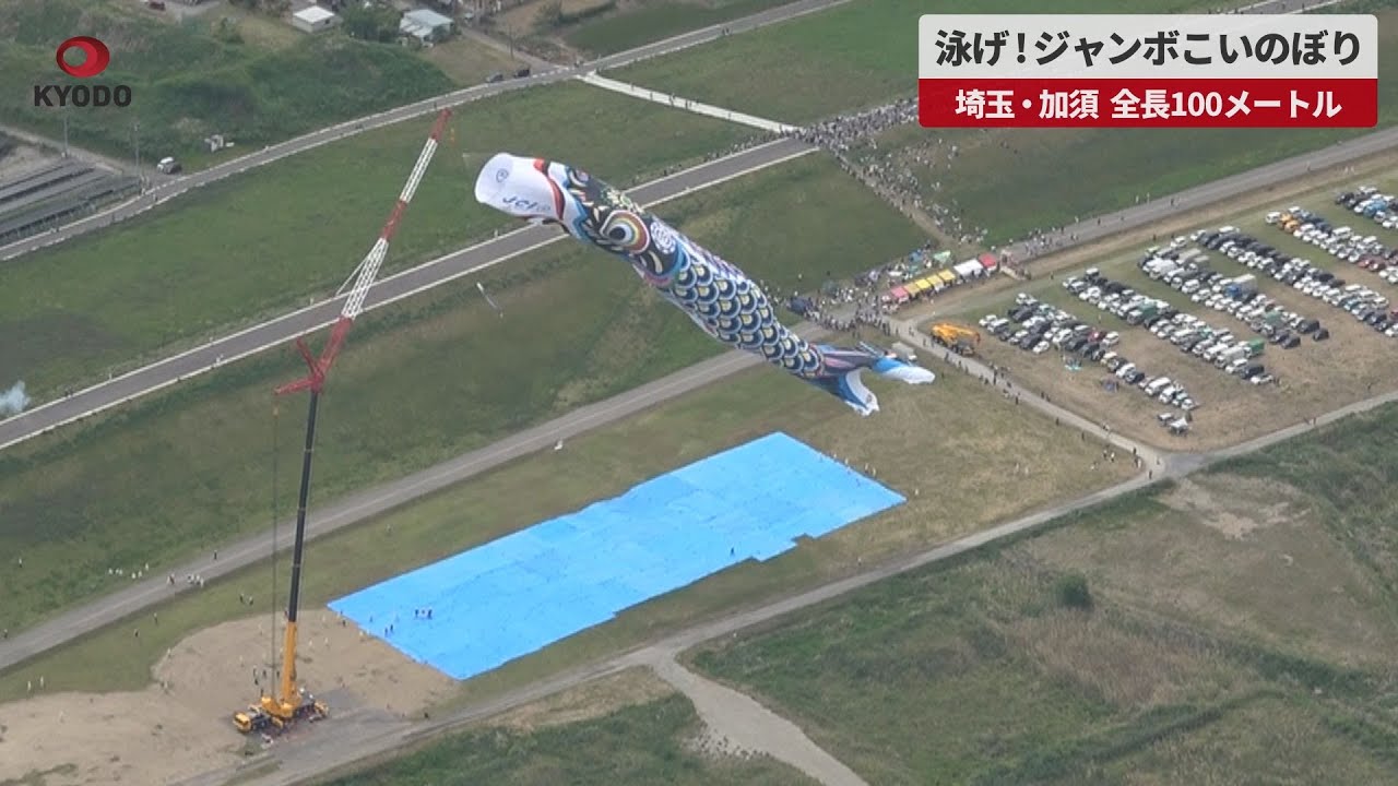 速報】泳げ!ジャンボこいのぼり 埼玉・加須、全長100メートル - YouTube