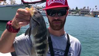 Daiwa Tatula CT Type R 100 7.3 gear ratio baitcaster Reel inshore Saltwater test ( Lost Footage )