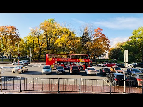 Russia Парк 300 летия | St. Petersburg - 300th anniversary park / Россия 2020
