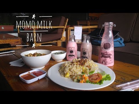 Momo Milk Barn Bogor Nyusu Modern Di Atas Awan Kbp 05 Momo Milk Barn Bogor Nyusu Modern Di Atas Awan Kbp 05